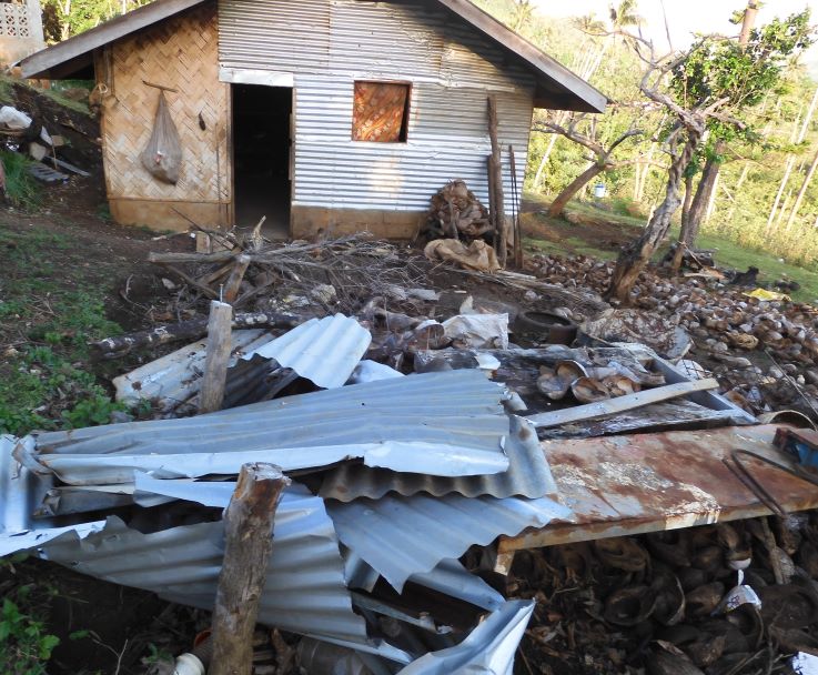 3.Disaster waste-3.jpg